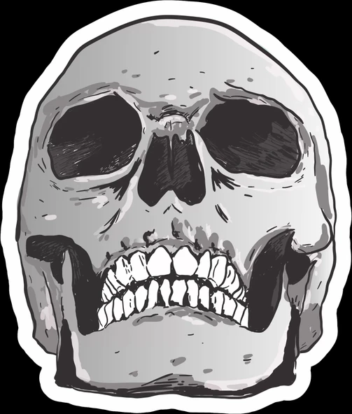 Kurukafa Sticker 5 10x10 cmRenkli Sticker ürün görseli 1
