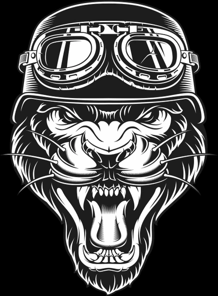 Aslan Sticker 10x10 cmRenkli Sticker ürün görseli 1