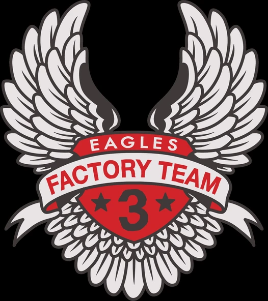 Eagles Factory Team Sticker 10x10 cmRenkli Sticker ürün görseli 1