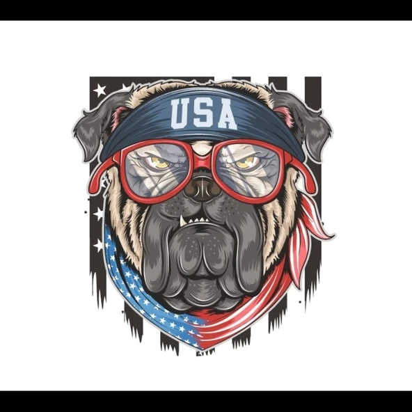Köpek 10x10 cm Renkli Sticker ürün görseli 1