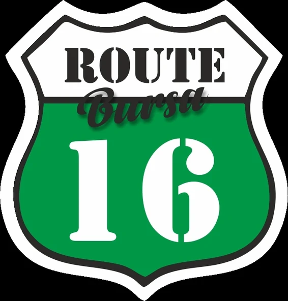 16 Bursa Sticker 10x10 cmRenkli Sticker ürün görseli 1