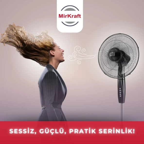 MirKraft FS-M40BR 16'' DC Motor 5 Kanatlı Ayaklı Vantilatör - Resim 4