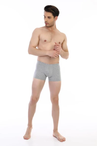 3 Adet Çift Kaplan Erkek Elastanlı Boxer 810 - Resim 4