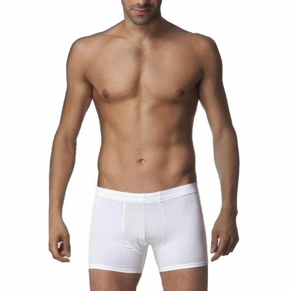 3 Adet Çift Kaplan Erkek Elastanlı Boxer 810 ürün görseli 1