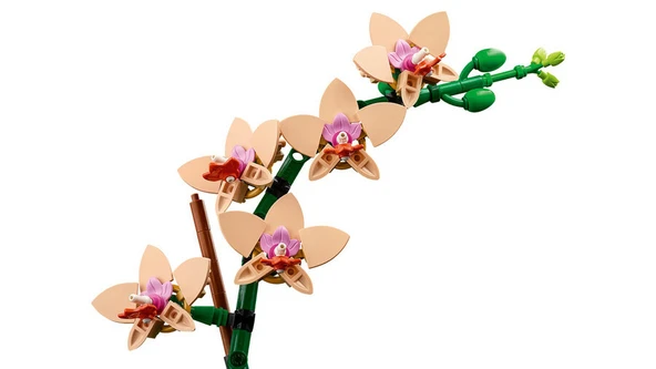 PTTAVM: LEGO Botanicals Mini Orkide 10343 - 18+ Çiçek Model Yapım