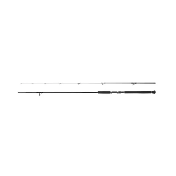 Shimano Currentsniper XR S100M 305 Cm Max 70 Gr Shore Jig Kamışı ürün görseli 1