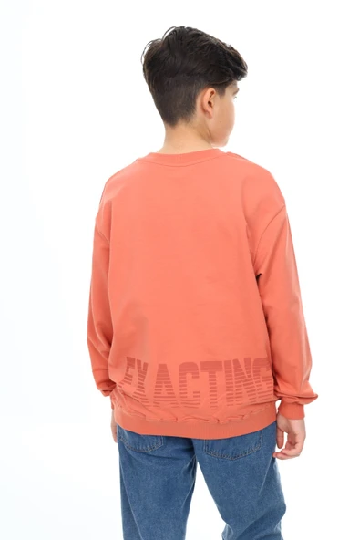 Toontoy Erkek Çocuk Baskılı Sweatshirt - Resim 8