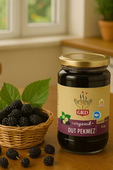GRD ORGANİK DUT PEKMEZİ 380 gr ürün görseli 1