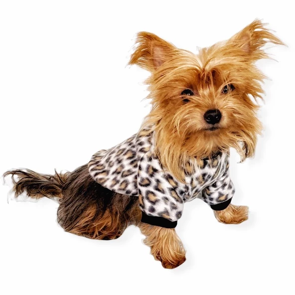Leopar Softie Sweat Köpek Kıyafeti ürün görseli 1