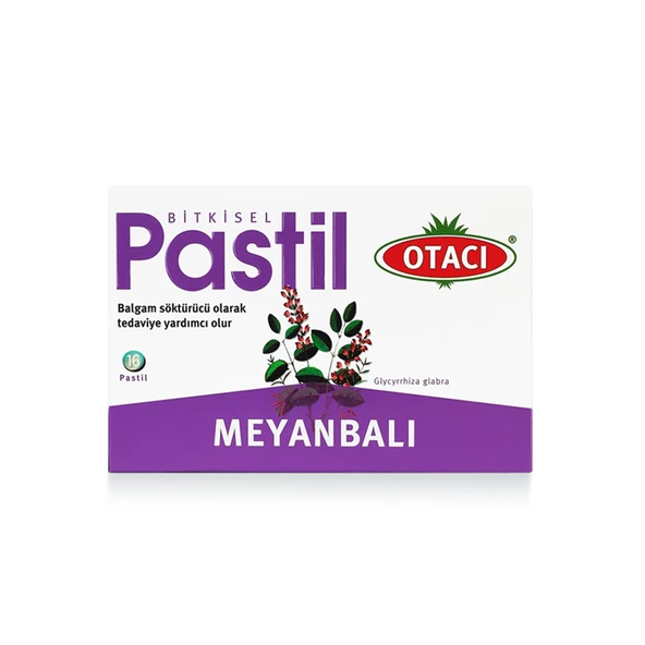 Otacı Pastil Meyanbalı 16 Pastil ürün görseli 1