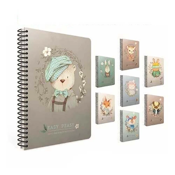 Gıpta Easy Notes Sp.Sert Kapak Defter 17x24cm 120 yp Çizgili 4743 ürün görseli 1