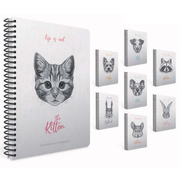 Gıpta Life Is Cool 17x24cm Spiralli Sert Kapak Defter 120yp Çizgili 4684 ürün görseli 1