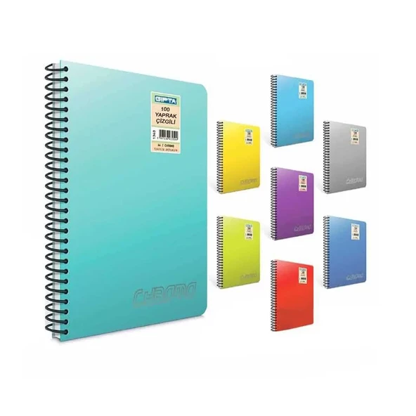 Gıpta Chromo Double Metal Spiralli Çizgili Defter A4 100 Yaprak ürün görseli 1
