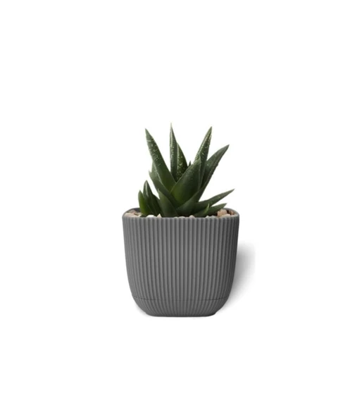 Omnipazar KRS-381 Dekoratif Plastik Mercan Kare Saksı 0.27 Litre No 1 - Resim 2