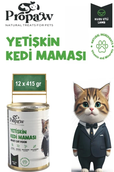Kedi Yaş Mama Kuzu Konserve Jöleli Premium Parça Etli Yemek Besleyici Tahılsız İçerik 12 x 415 gr ürün görseli 1
