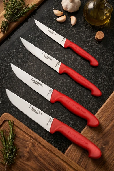 Lazbisa Silver Serisi Mutfak Bıçak Seti Et Ekmek Sebze Bıçağı 4 Lü Set Günlük Kullanım ( Mtf-205) ürün görseli 1