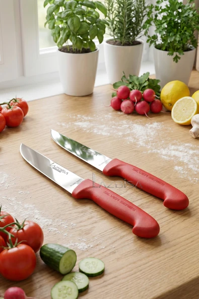 Lazbisa Silver Serisi Mutfak Bıçak Seti Et Ekmek Sebze Bıçağı 2 Li Set Günlük Kullanım ( Mtf-221) ürün görseli 1