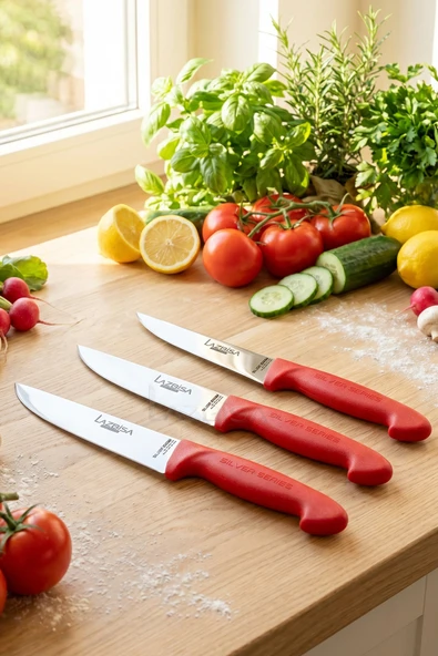 Lazbisa Silver Serisi Mutfak Bıçak Seti Et Ekmek Sebze Bıçağı 3 Lü Set Günlük Kullanım ( Mtf-220) ürün görseli 1