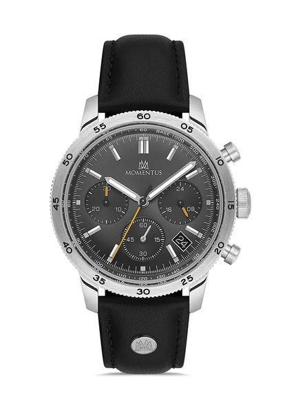 Momentus Men's Time Master CC303S-05BS - Resim 2