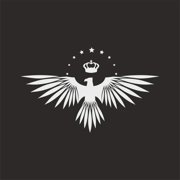 Yıldızlı Kartal  Oto Sticker17x17 Cm Beyaz ürün görseli 1