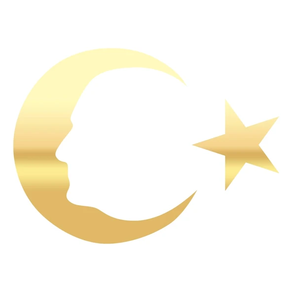 Ayyıldız ve Atatürk Silüeti Sticker17x17 Cm Gold ürün görseli 1