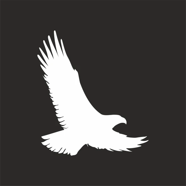 Uçan Kartal Sticker17x17 Cm Beyaz ürün görseli 1