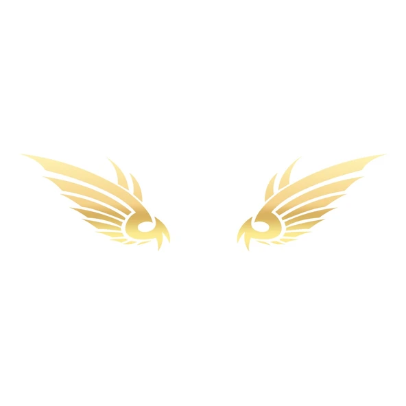 Kartal Kanatı Oto Sticker17x17 Cm Gold ürün görseli 1