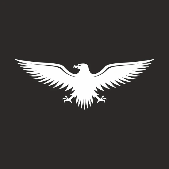 Kartal Sticker17x17 Cm Beyaz ürün görseli 1