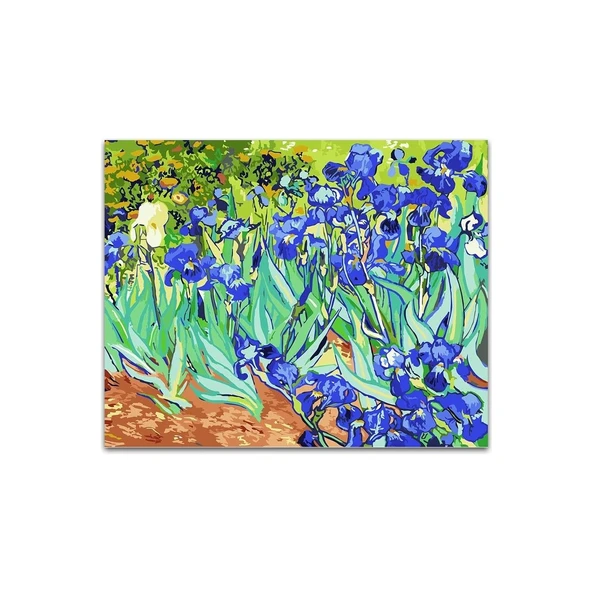 Hobi Mor Çiçekler Numaralı Tuval 40X50CM ürün görseli 1