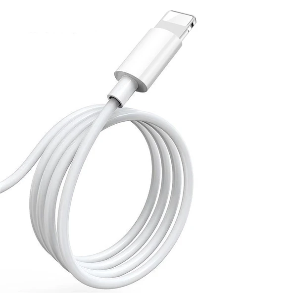Joyroom Jr S113 Ben Serisi 2A iPhone Lightning 2 Metre Hızlı Şarj Kablosu ürün görseli 1