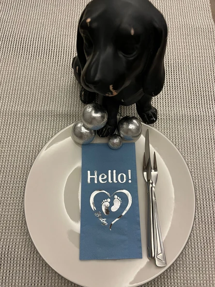 Gümüş Yaldızlı Mavi hello Baby Ayaklı Peçete 16 Adet ürün görseli 1