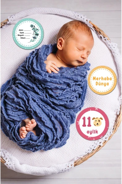 kutuTR Aylık Bebek Kartları Bebek Renkli Baskı Ay Kartları Hamile Seti 15 Kart ürün görseli 1