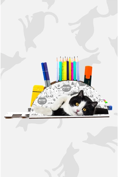 Notpa Ahşap Siyah Beyaz Kedi Gökkuşağı Cetvelli Masaüstü Kalemlik Kutu Çocuklar Için Organizer Gk125 ürün görseli 1