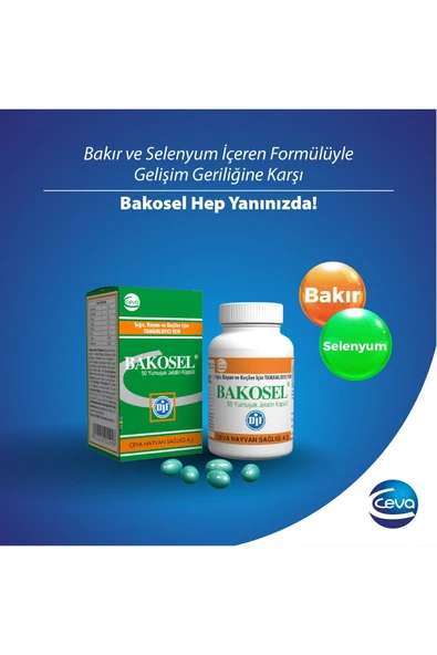 Bakosel Sığır Ve Koyunlar Için Tamamlayıcı Yem 50 Kapsül ürün görseli 1