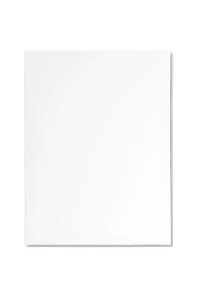 35x50 cm Tuval Arkadan Zımbalı Tuval Astarlı Tuval ürün görseli 1