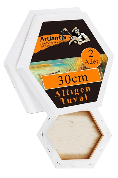 Altıgen Tuval 30 cm 2 Adet Arkadan Zımbalı Astarlı Resim Tuvali Akrilik Boya Yağlı Boya Altıgen Şekil Tuval Ressam Sanat ürün görseli 1