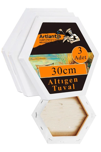 Altıgen Tuval 30 cm 3 Adet Arkadan Zımbalı Astarlı Resim Tuvali Akrilik Boya Yağlı Boya Altıgen Şekil Tuval Ressam Sanat ürün görseli 1