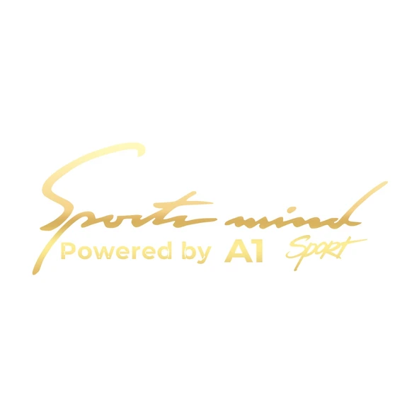 Sports Mind Audi A1 Sports Sticker 17x17 Cm Gold ürün görseli 1