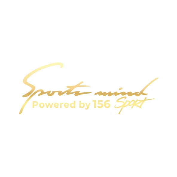 Sports Mind Alfa Romeo 156 Sports Sticker 17x17 Cm Gold ürün görseli 1