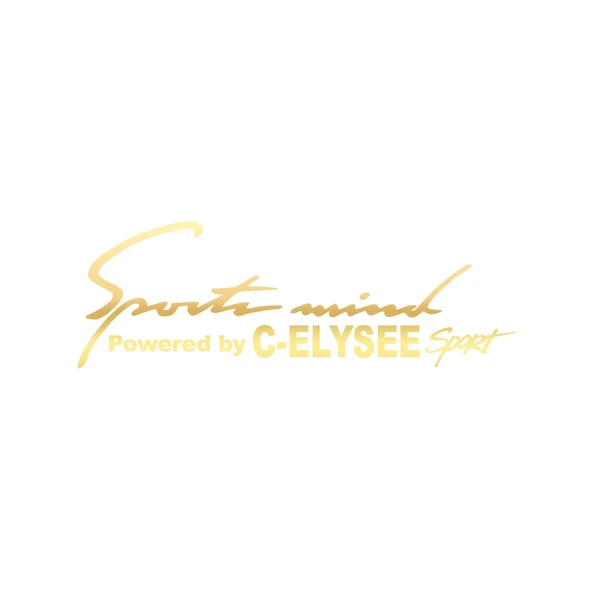 Sports Mind CITROEN C-ELYSE ESports Sticker 17x17 Cm Gold ürün görseli 1