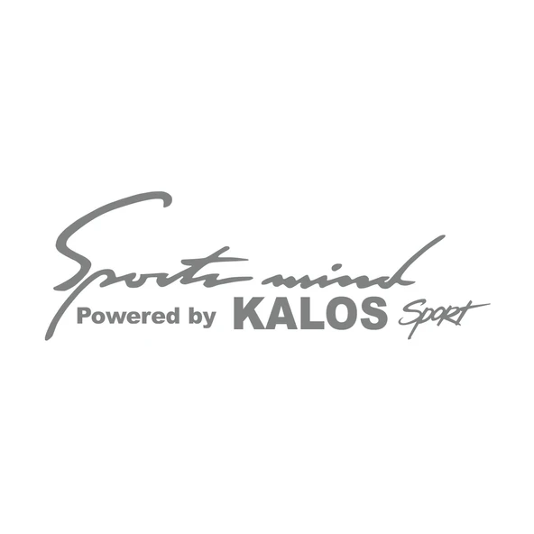 Sports Mind CHEVROLET KALOS Sports Sticker 17x17 Cm Gri ürün görseli 1