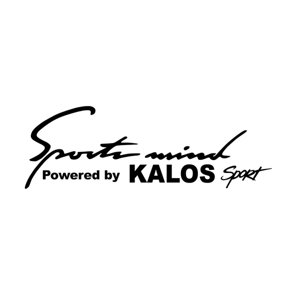 Sports Mind CHEVROLET KALOS Sports Sticker 17x17 Cm Siyah ürün görseli 1