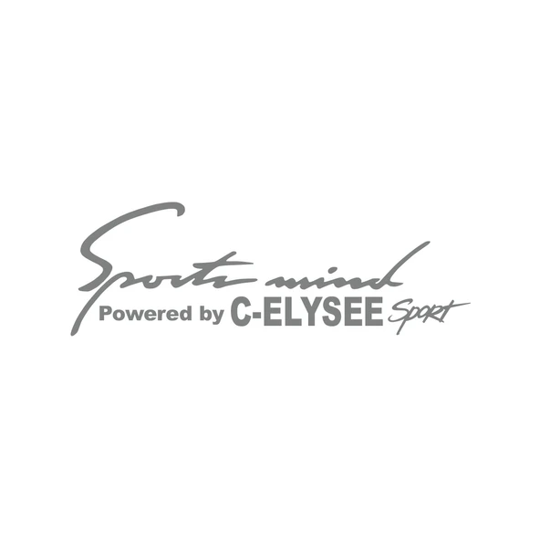 Sports Mind CITROEN C-ELYSE ESports Sticker 17x17 Cm Gri ürün görseli 1