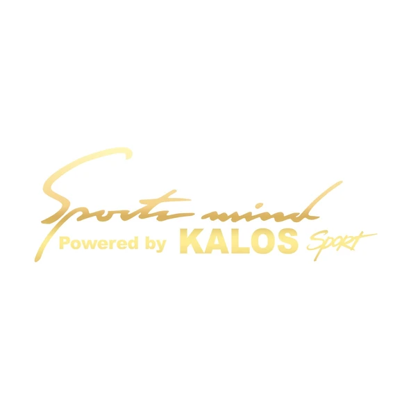 Sports Mind CHEVROLET KALOS Sports Sticker 17x17 Cm Gold ürün görseli 1