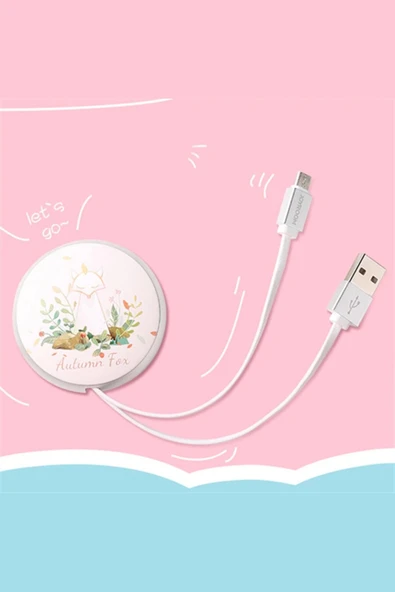 JOYROOM RABBİT SERİ TYPE-C CABLE - Resim 2