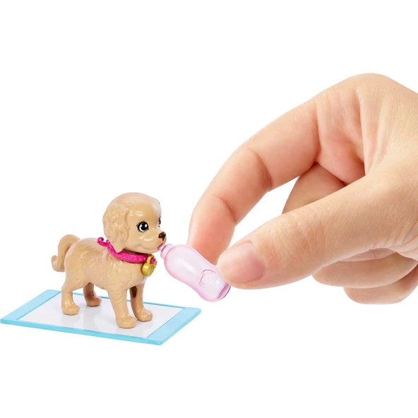 Barbie ve Köpekçikleri Oyun Seti - Resim 3