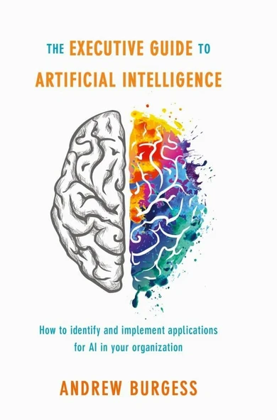 The Executive Guide to Artificial Intelligence: How to identify and implement applications for AI in your organization Andrew Burgess ürün görseli 1