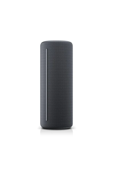 LoeWe. Hear 1 Bluetooth Hoparlör Storm Grey - Resim 6