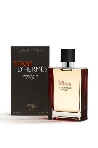 Hermes Terre D‘Hermes EDP Intense 100 ml Erkek Parfüm ürün görseli 1