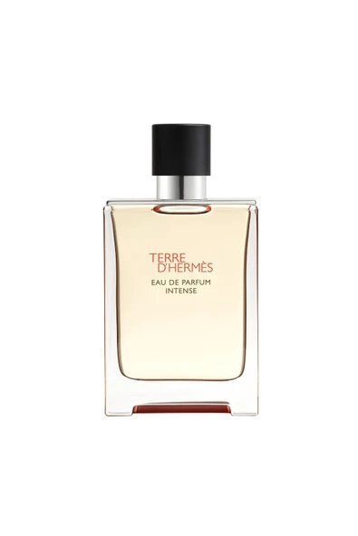Terre D Hermes Edp Intense 100 ml Erkek Parfüm ürün görseli 1